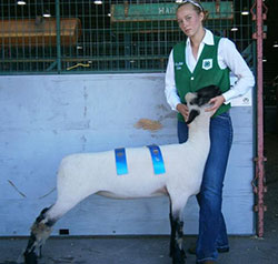 Ebert Sheep Farm Winners