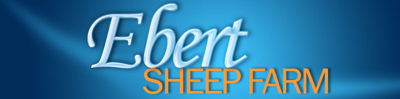 Ebert Sheep Farm
